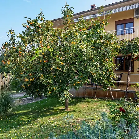 Appartement For Families With Children Banjole, - 2258 *